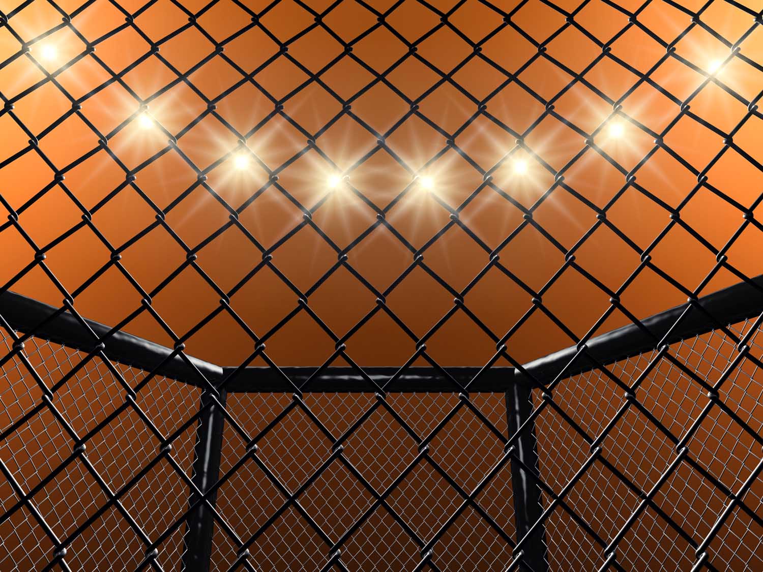 UFC